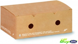 Scatola Porta Crocchette con fori compostabile per contenere fritti e cibi caldi take away e delivery - ingrosso vendita online